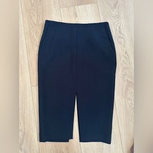 Babaton Black Pencil Skirt